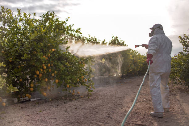 Insect Control in La Grange Park, IL