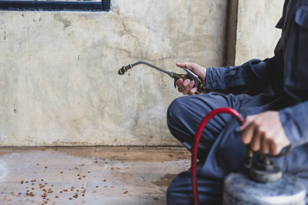 Best Best Pest Control Companies  in La Grange Park, IL